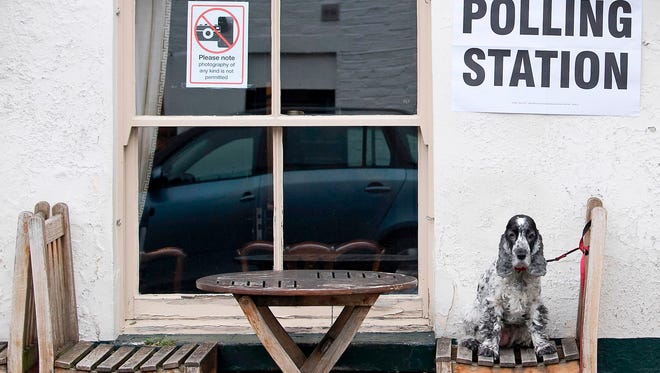 Tilly, a Cocker Spaniel, sits on a seat outside the Anglesea Arms pub, set up as a polling station, while her owner casts her ballot in London.