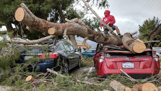 Hesperia Unified School district Maintenance and Operations Staff cut away a tree which fell on a car at Kingston Elementary School in Hesperia, Calif., on Feb. 17, 2017. High winds preceded heavy rain as a winter storm blew into the High Desert.