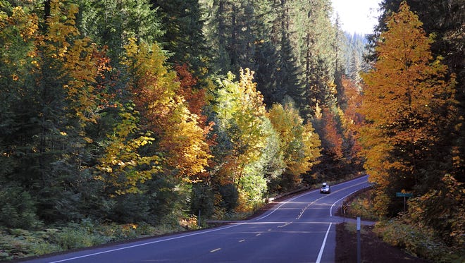Fall hues adorn some of 70 miles of the Historic Columbia River Highway in Oregon.