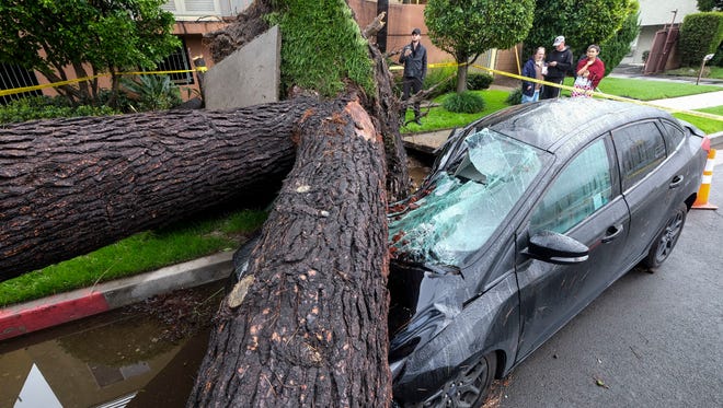 A fallen tree crushes a car outside a residence on Feb. 18, 2017, in the Sherman Oaks section of Los Angeles.