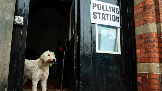 This dog stands guard at a polling station in Howden, northeast England.